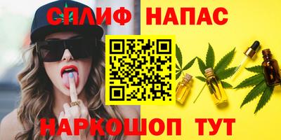 дживик Камышлов